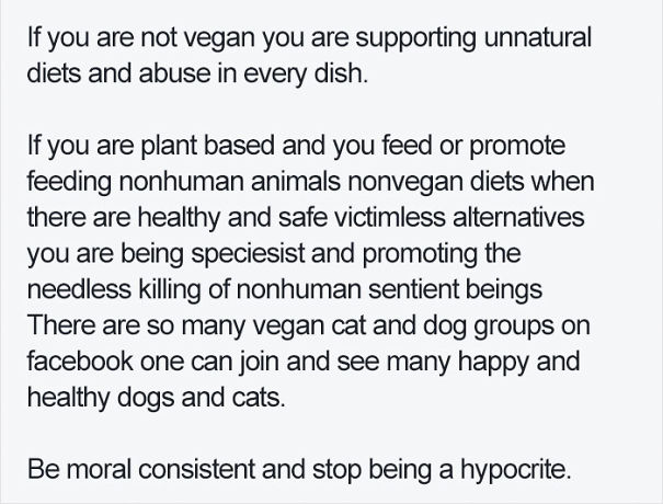 Vegan YouTuber Criticised For Putting Pet Fennec Fox on Vegan Diet