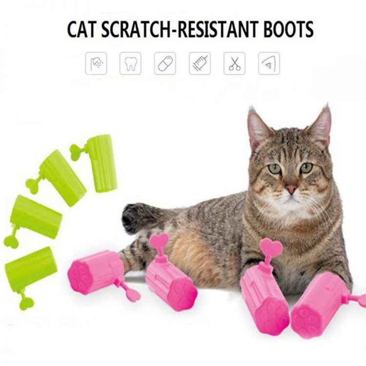 anti scratch cat boots